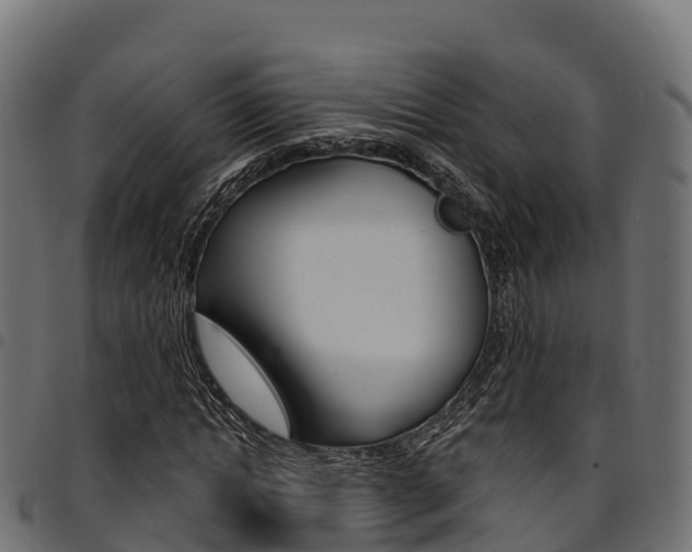 X0000094960822200711291126
