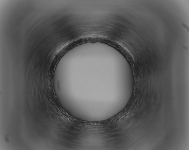X0000094960823200711291126