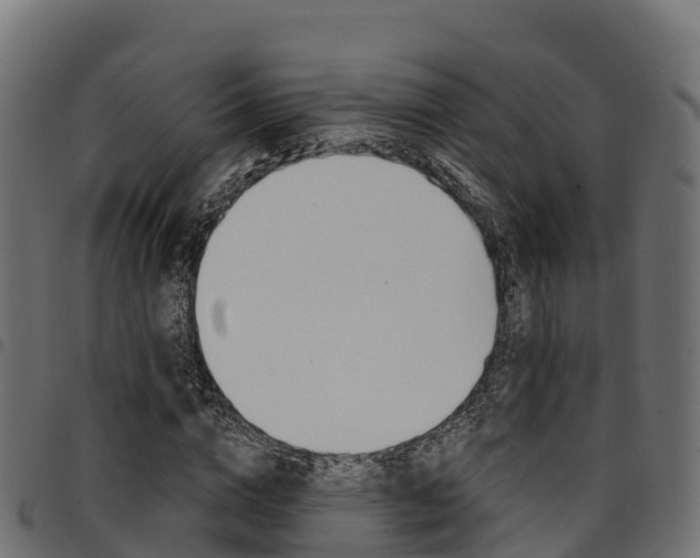 X0000094960824200711291126