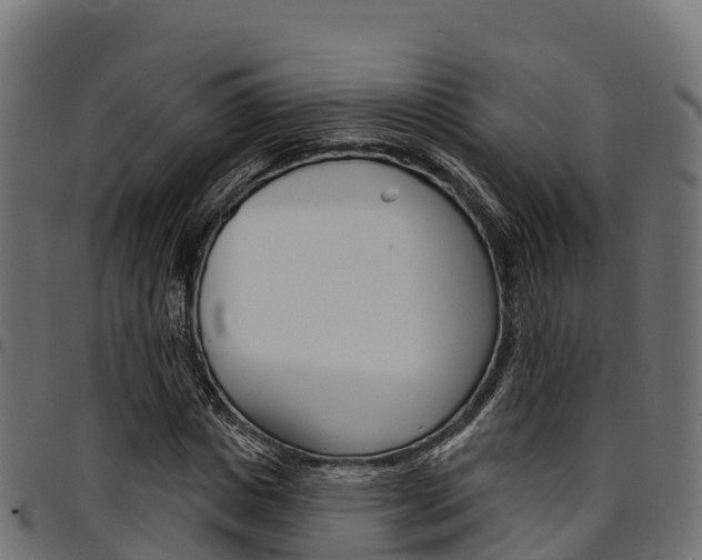 X0000094960825200711291126
