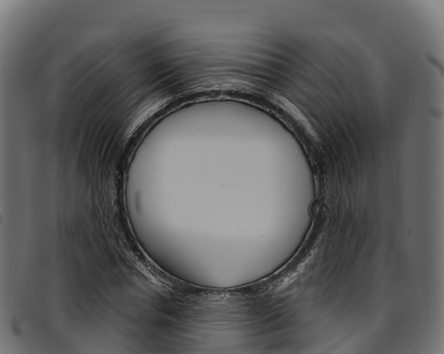 X0000094960826200711291126