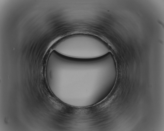 X0000094960830200711291126