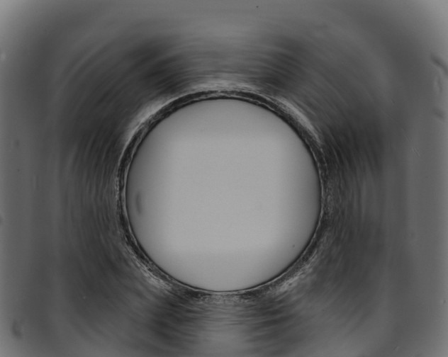 X0000094960831200711291126