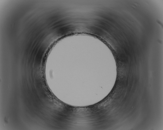 X0000094960832200711291126