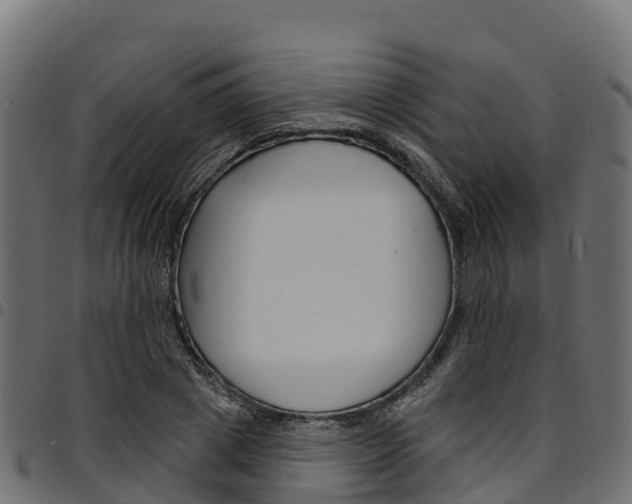 X0000094960833200711291126