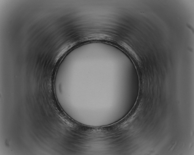 X0000094960834200711291126