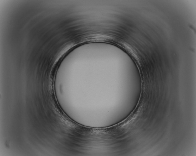 X0000094960835200711291126
