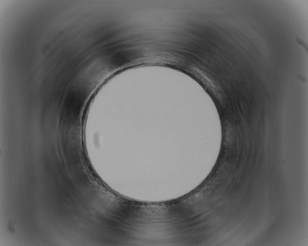 X0000094960836200711291126
