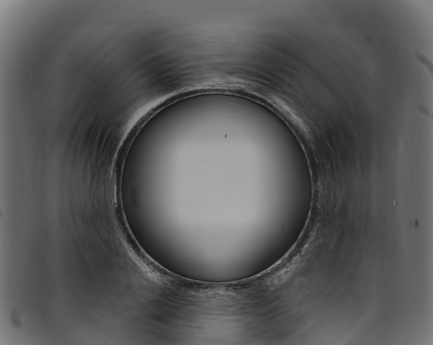 X0000094960838200711291126