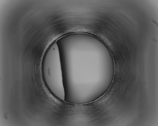 X0000094960840200711291126