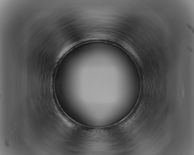 X0000094960842200711291126