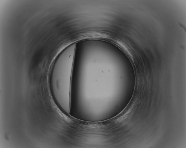 X0000094960843200711291126