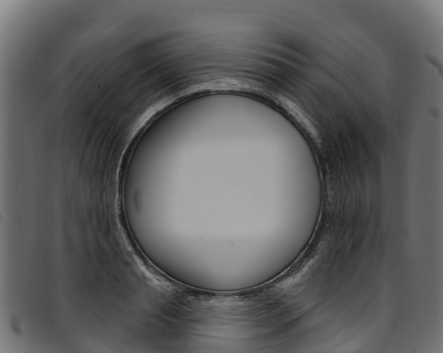 X0000094960845200711291126