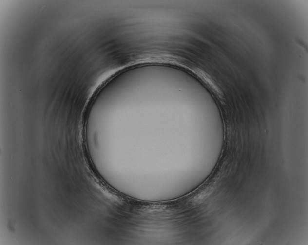 X0000094960846200711291126