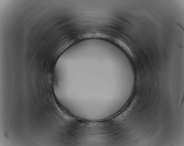X0000094960849200711291126