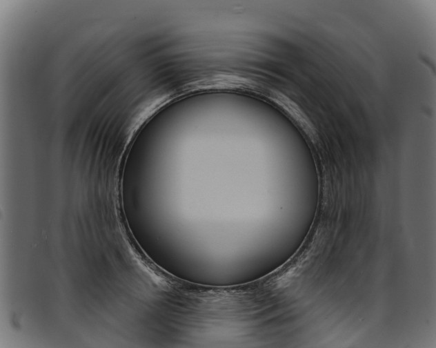 X0000094960850200711291126