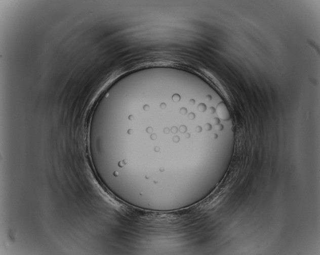 X0000094960851200711291126