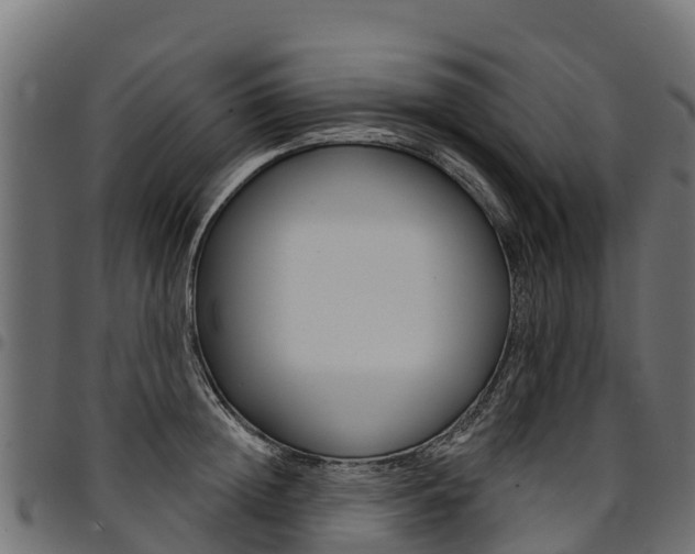 X0000094960852200711291126