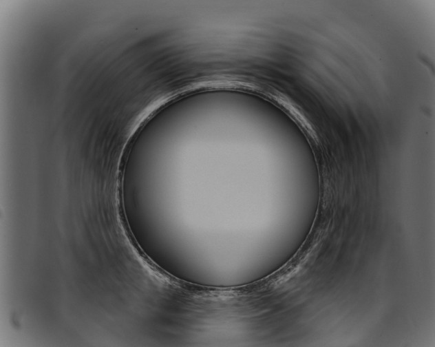 X0000094960853200711291126