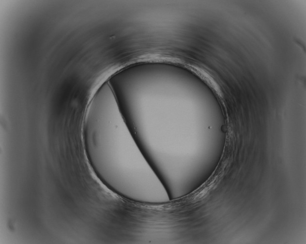 X0000094960855200711291126