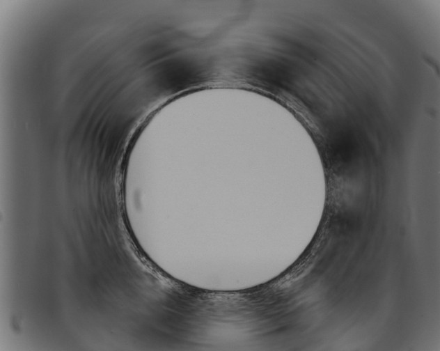 X0000094960856200711291126
