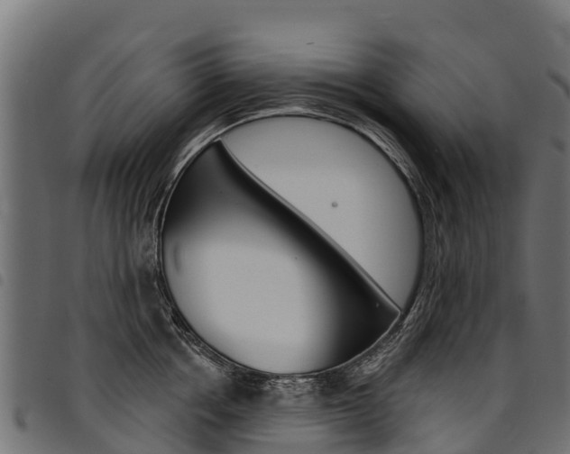 X0000094960858200711291126