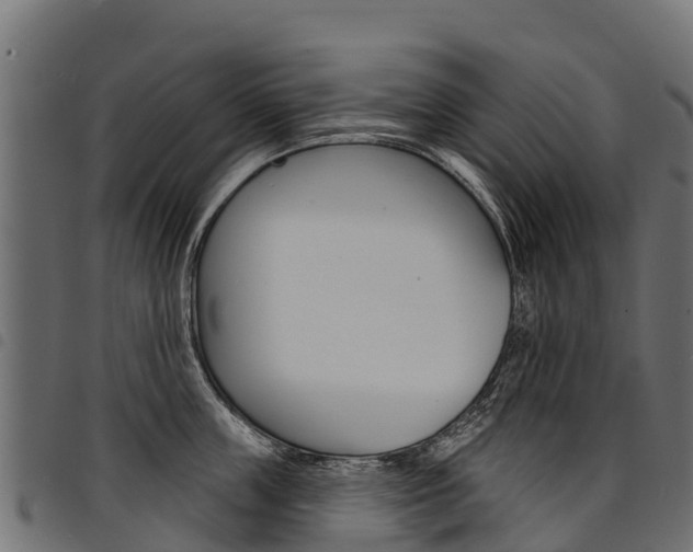 X0000094960859200711291126