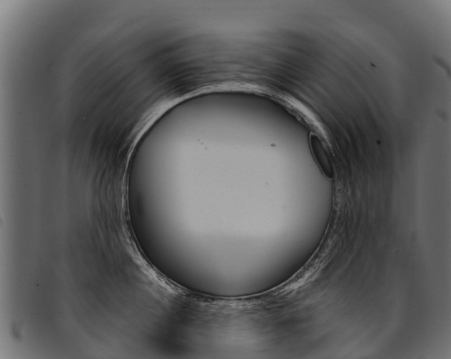 X0000094960860200711291126
