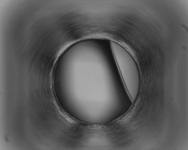 X0000094960862200711291126