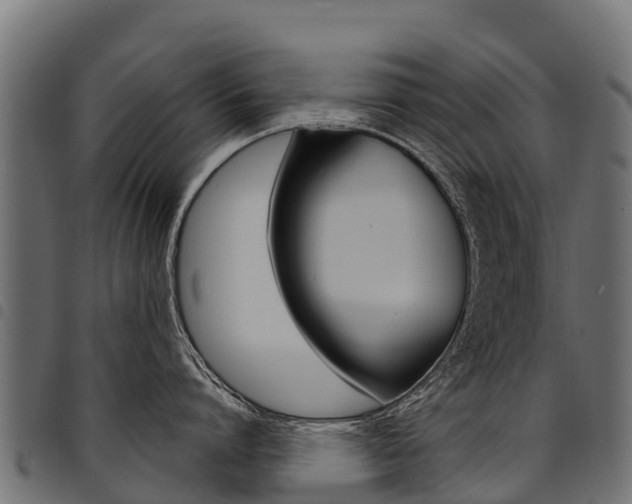 X0000094960864200711291126