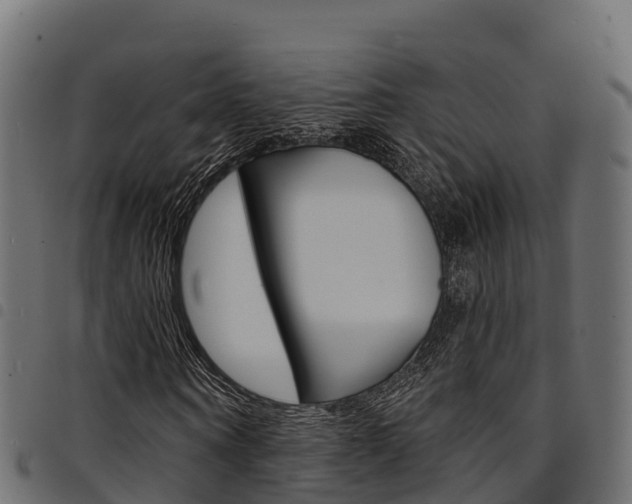 X0000094960866200711291126
