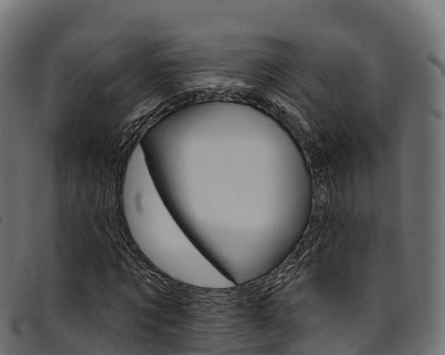 X0000094960869200711291126