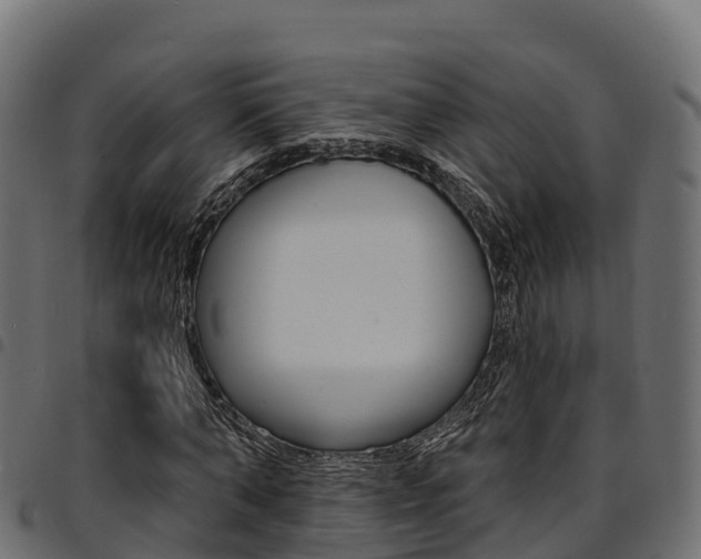 X0000094960870200711291126