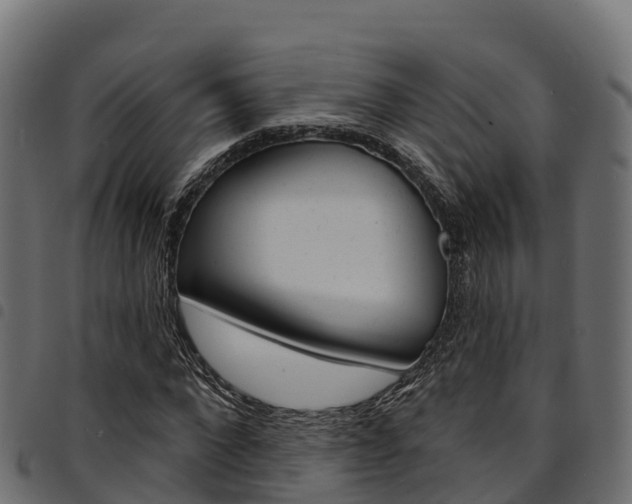 X0000094960872200711291125