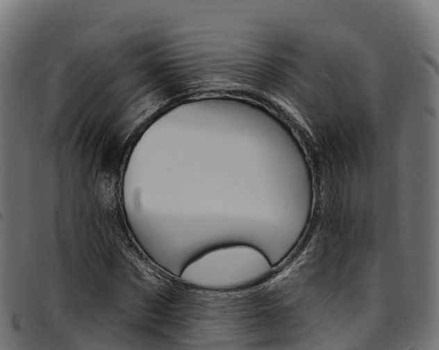 X0000094960873200711291125