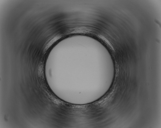 X0000094960874200711291125