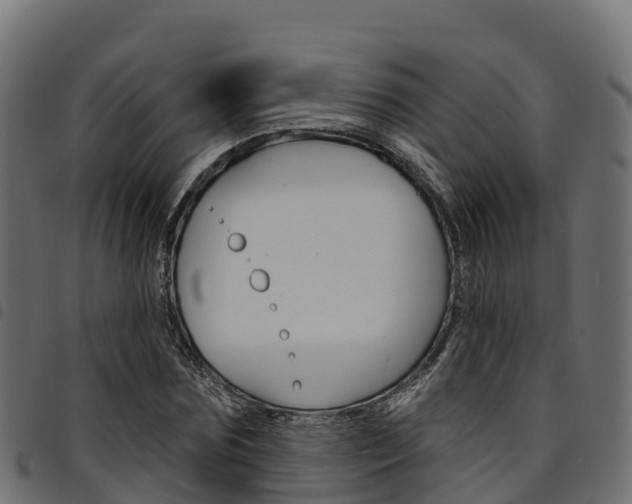 X0000094960875200711291125