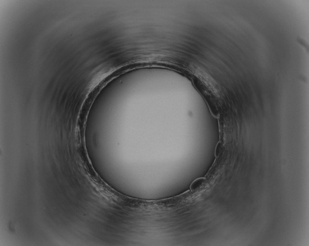 X0000094960876200711291125