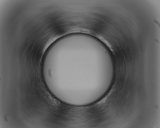 X0000094960877200711291125