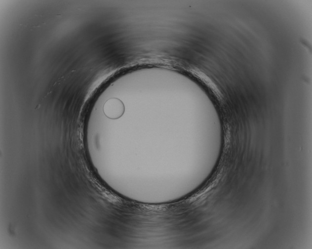X0000094960878200711291125