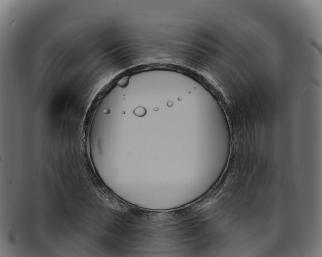 X0000094960879200711291125