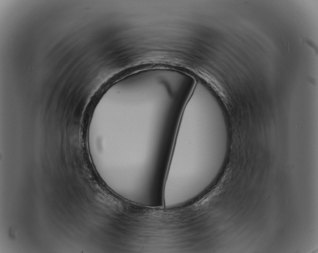 X0000094960880200711291125