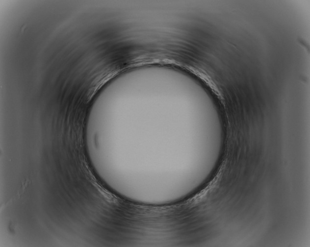 X0000094960881200711291125
