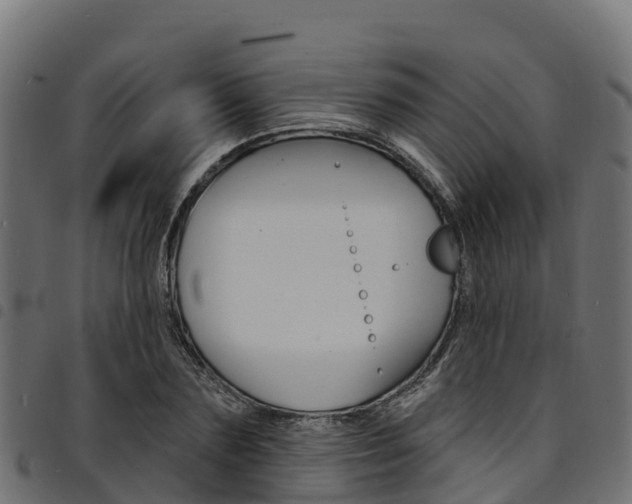 X0000094960883200711291125