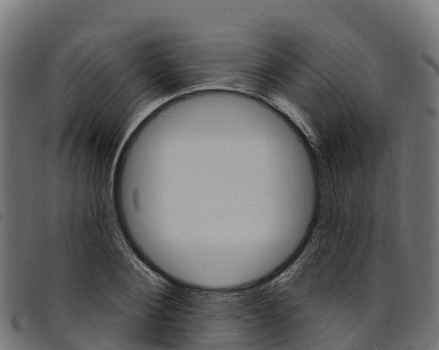 X0000094960884200711291125