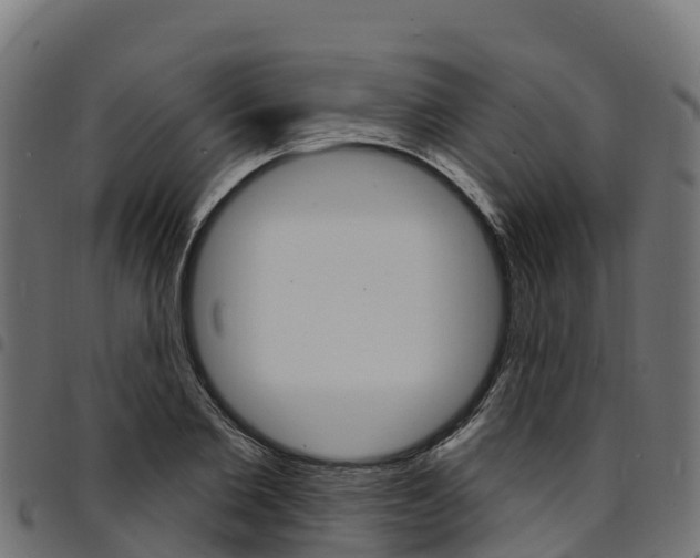 X0000094960885200711291125