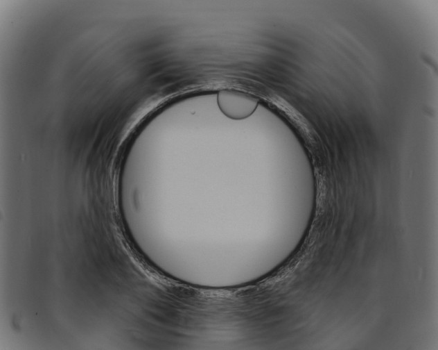X0000094960886200711291125
