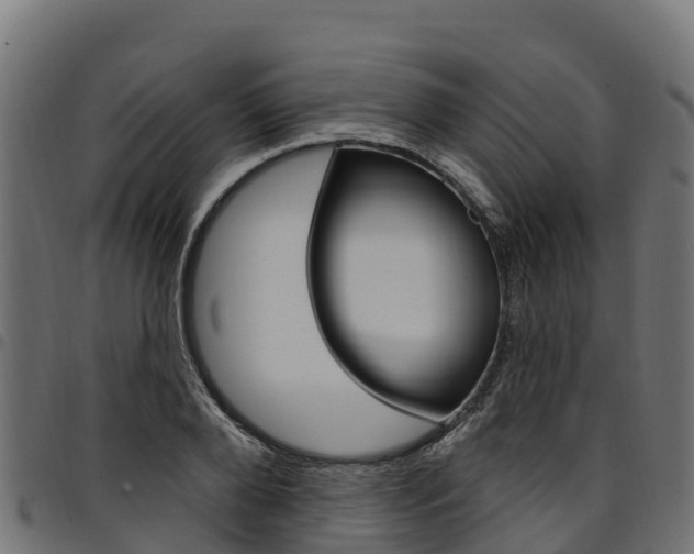 X0000094960888200711291125