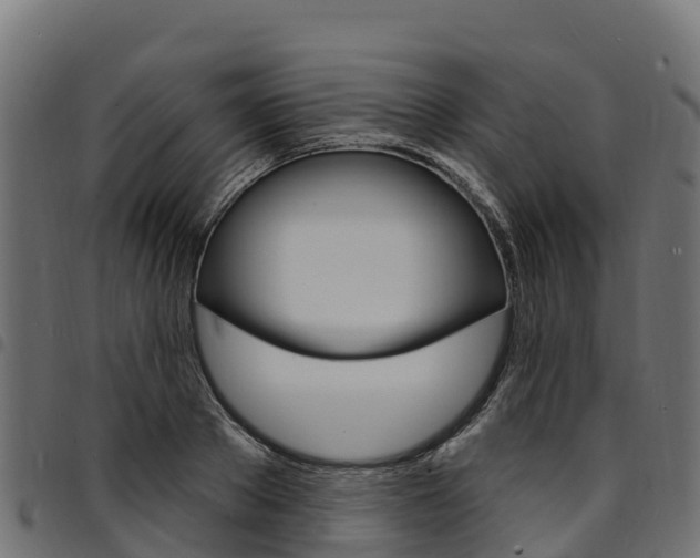X0000094960889200711291125