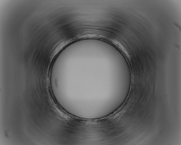 X0000094960890200711291125
